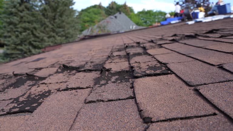 Best Cold Roofs  in Kutztown, PA